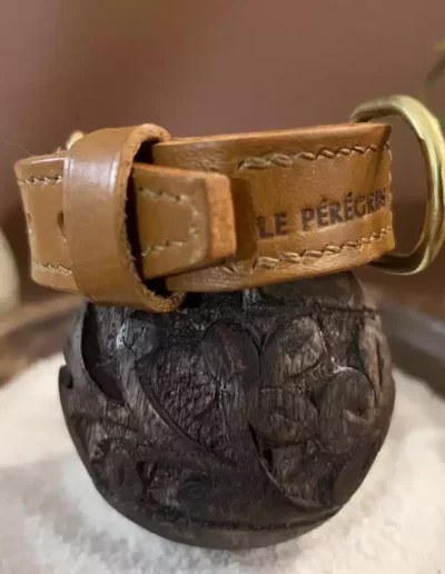 Le Pérégrin